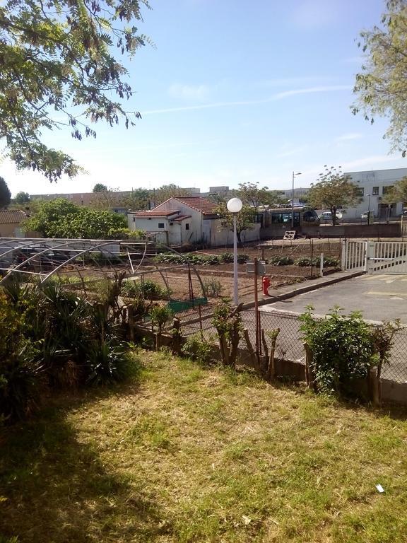 Grand Studio Proche Transport Montpellier Exterior photo