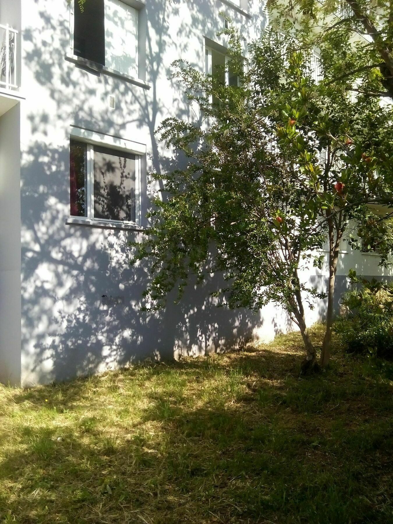 Grand Studio Proche Transport Montpellier Exterior photo